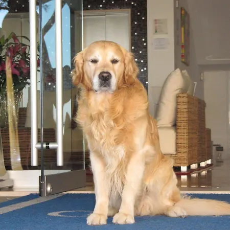 Croce Di Malta 4* לידו די ג'סולו