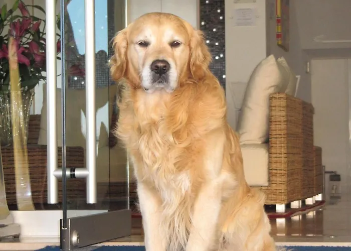 Croce Di Malta 4* Lido di Jesolo